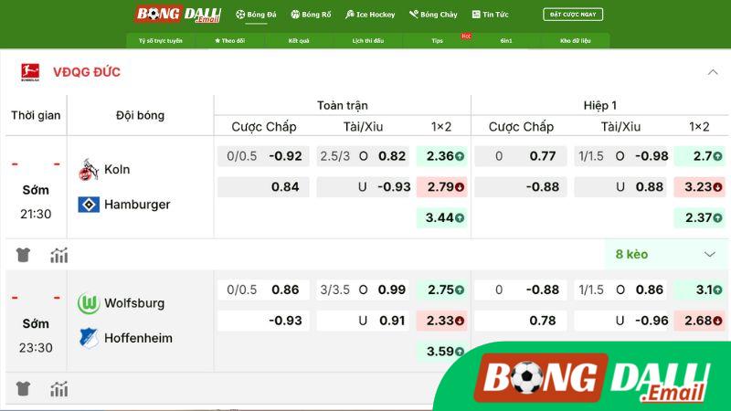 Tỷ Lệ Kèo Trên Bongdalu